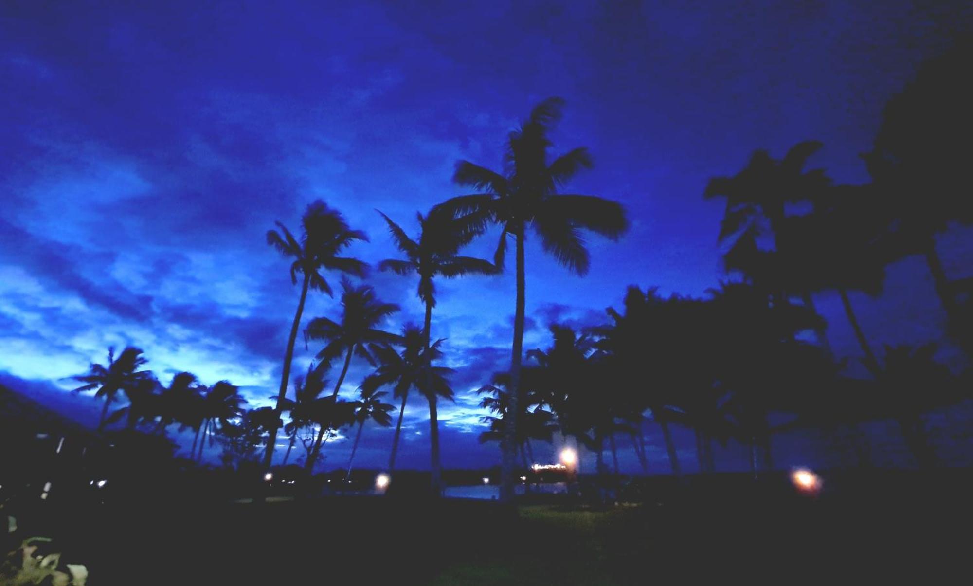 Dolphin Heads - Resort Unit - Absolute Beachfront! - Whitsunday Getaway! Mackay Zewnętrze zdjęcie