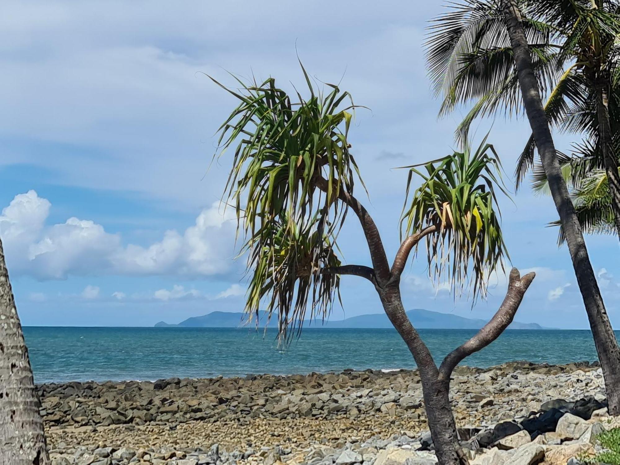 Dolphin Heads - Resort Unit - Absolute Beachfront! - Whitsunday Getaway! Mackay Zewnętrze zdjęcie