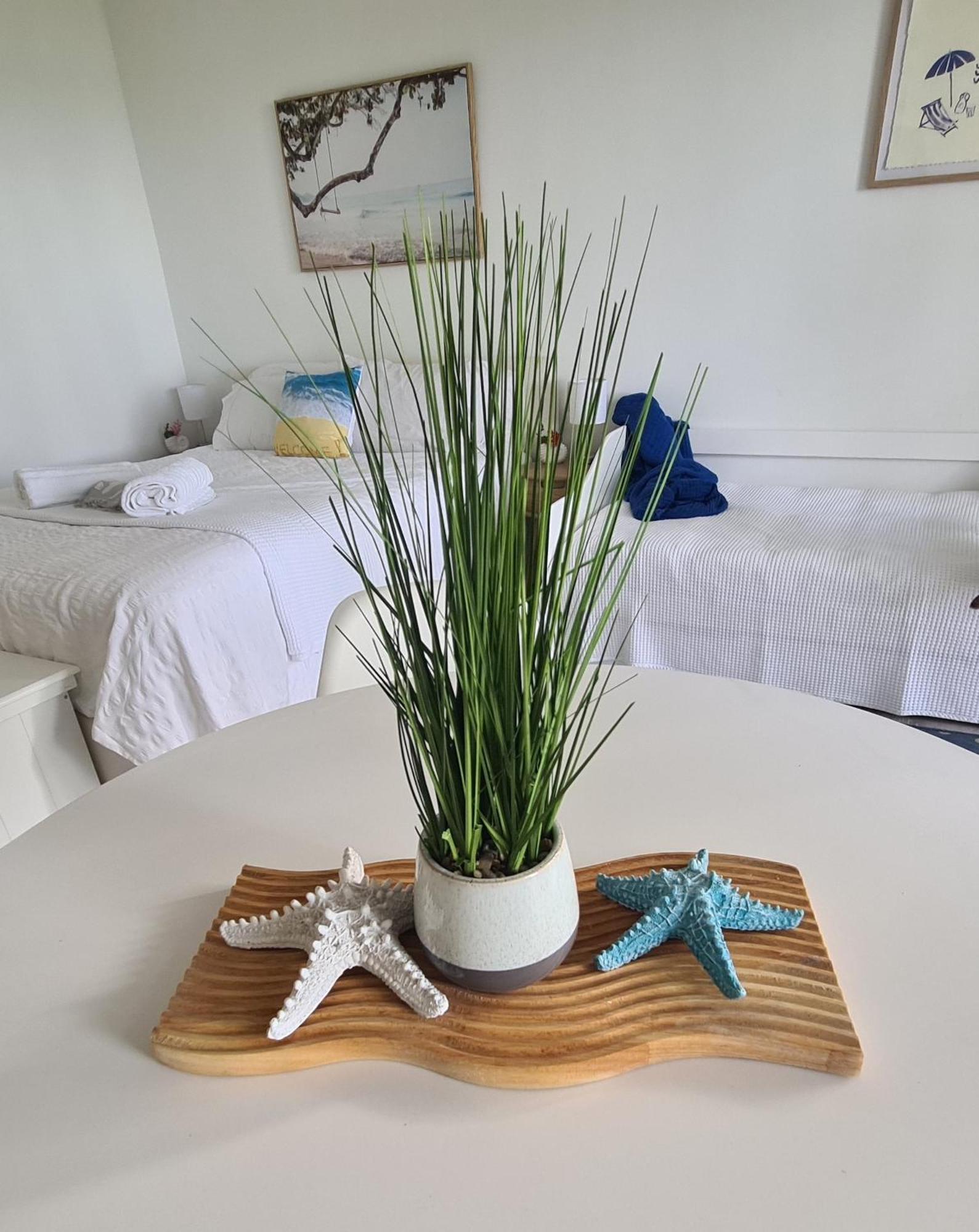 Dolphin Heads - Resort Unit - Absolute Beachfront! - Whitsunday Getaway! Mackay Zewnętrze zdjęcie