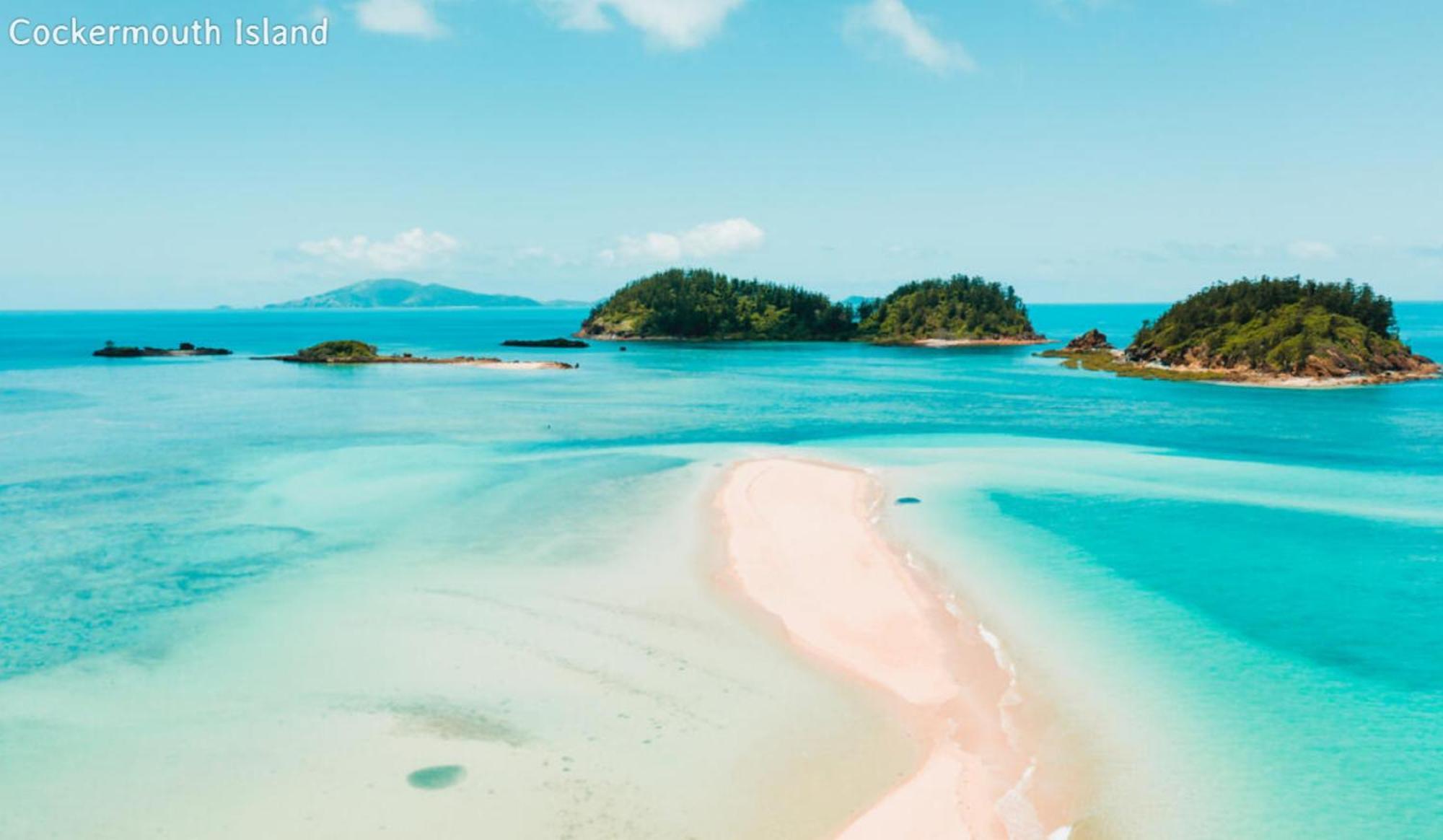 Dolphin Heads - Resort Unit - Absolute Beachfront! - Whitsunday Getaway! Mackay Zewnętrze zdjęcie